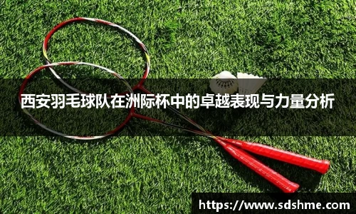西安羽毛球队在洲际杯中的卓越表现与力量分析
